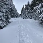 Apartament Terrier - Nature Jacuzzi & Sauna *
