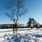 Apartament Terrier - Nature Jacuzzi & Sauna Ovifat