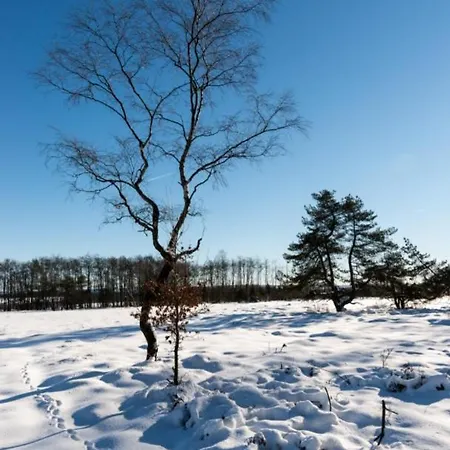 Appartement Grand Familial Nature Et Sauna - Le Terrier Ovifat