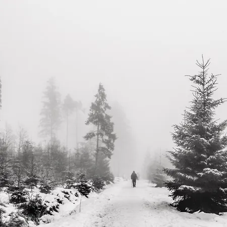 Terrier - Nature Jacuzzi & Sauna
