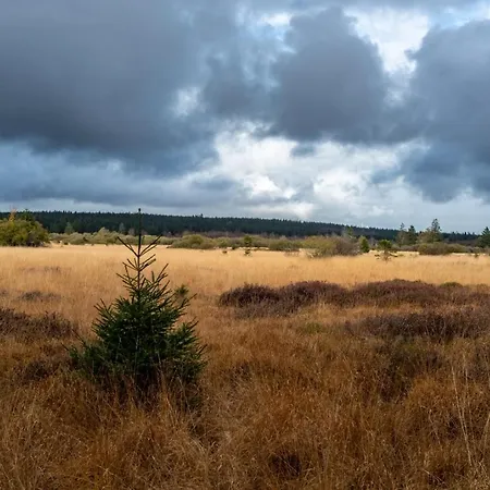 Terrier - Nature Jacuzzi & Sauna