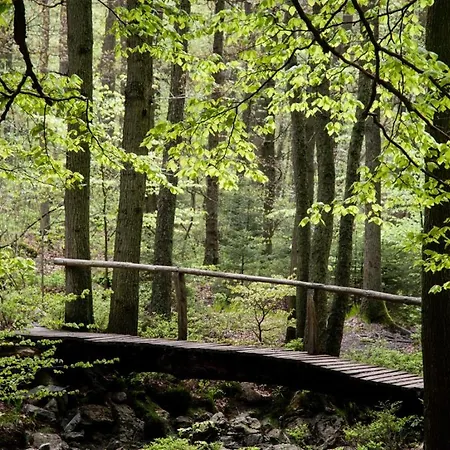 Grand Familial Nature Et Sauna - Le Terrier * Ovifat