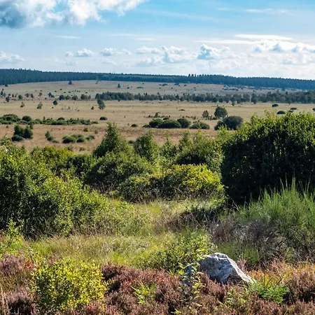 Terrier - Nature Jacuzzi & Sauna Apartament *