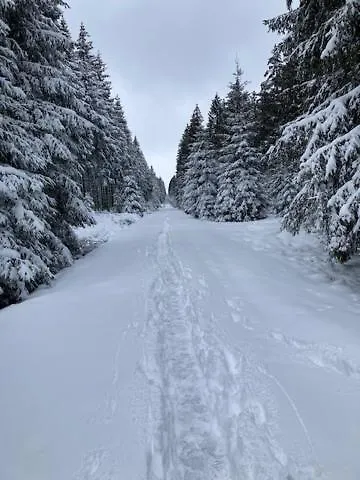 Апартаменты Terrier - Nature Jacuzzi & Sauna *