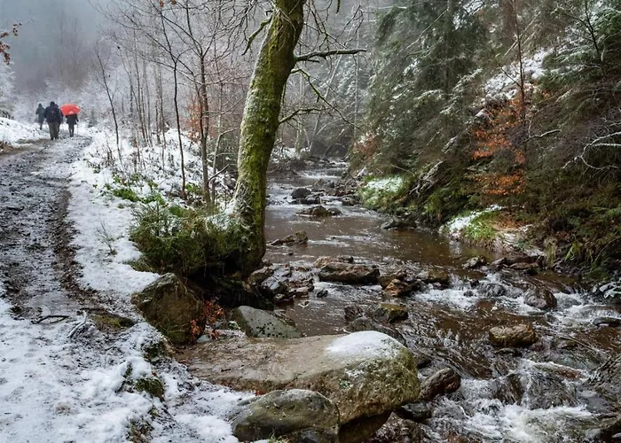 Terrier - Nature Jacuzzi & Sauna Апартаменты *