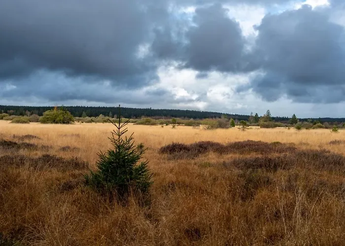 Terrier - Nature Jacuzzi & Sauna