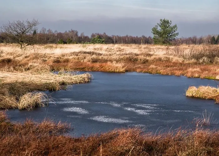 Terrier - Nature Jacuzzi & Sauna Апартаменты