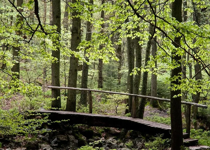 Terrier - Nature Jacuzzi & Sauna * Овифа